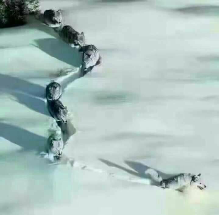 timeline_20170125_132022